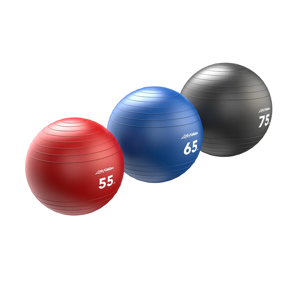 Life Fitness Stability Balls