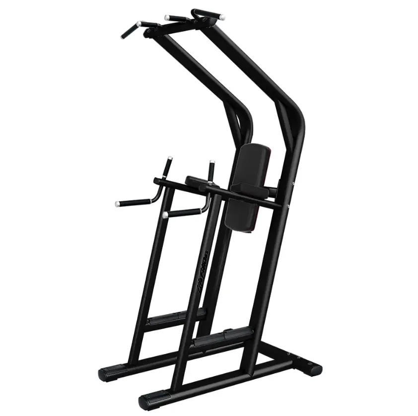 Life Fitness Leg Raise / Dip / Chin