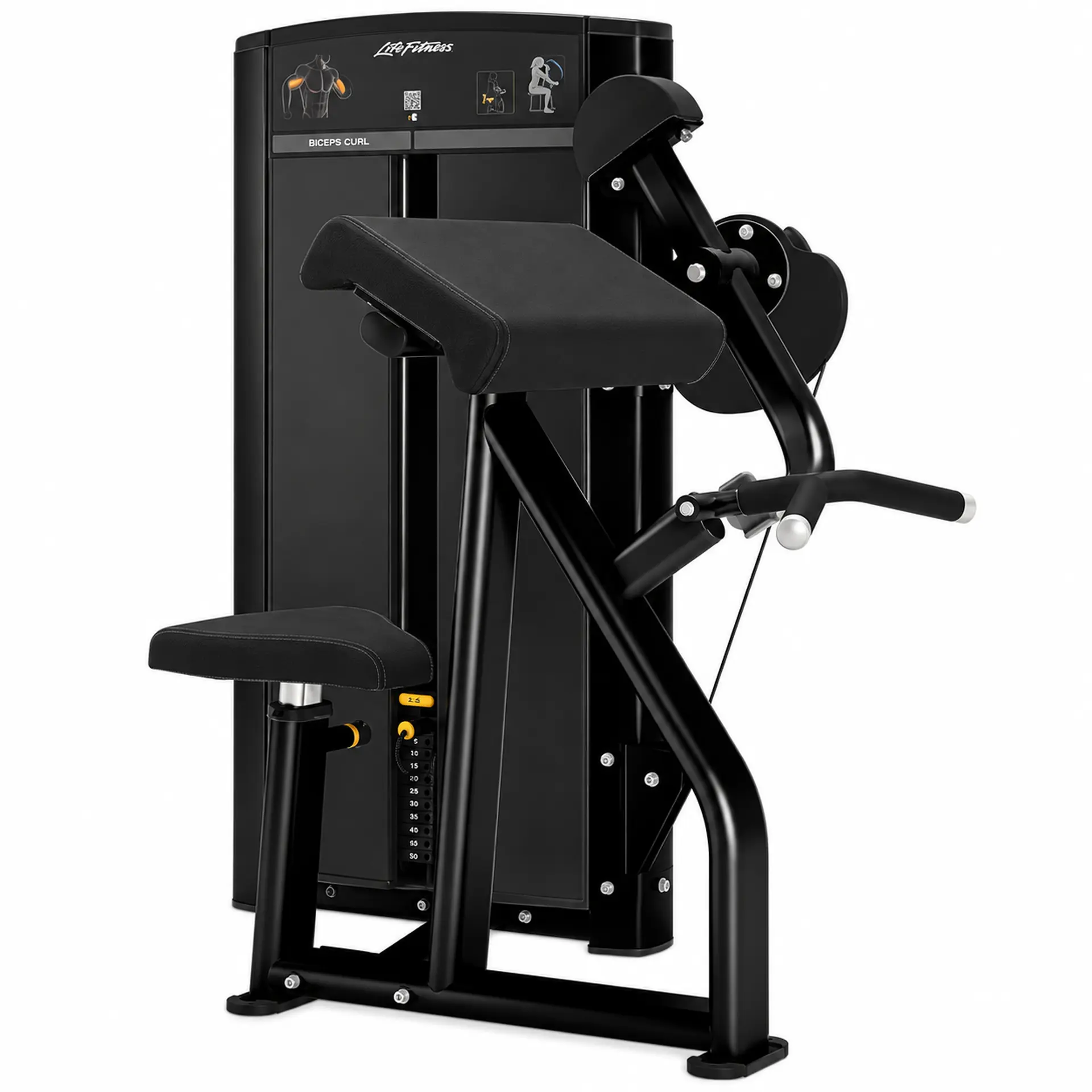 Axiom Series Biceps Curl