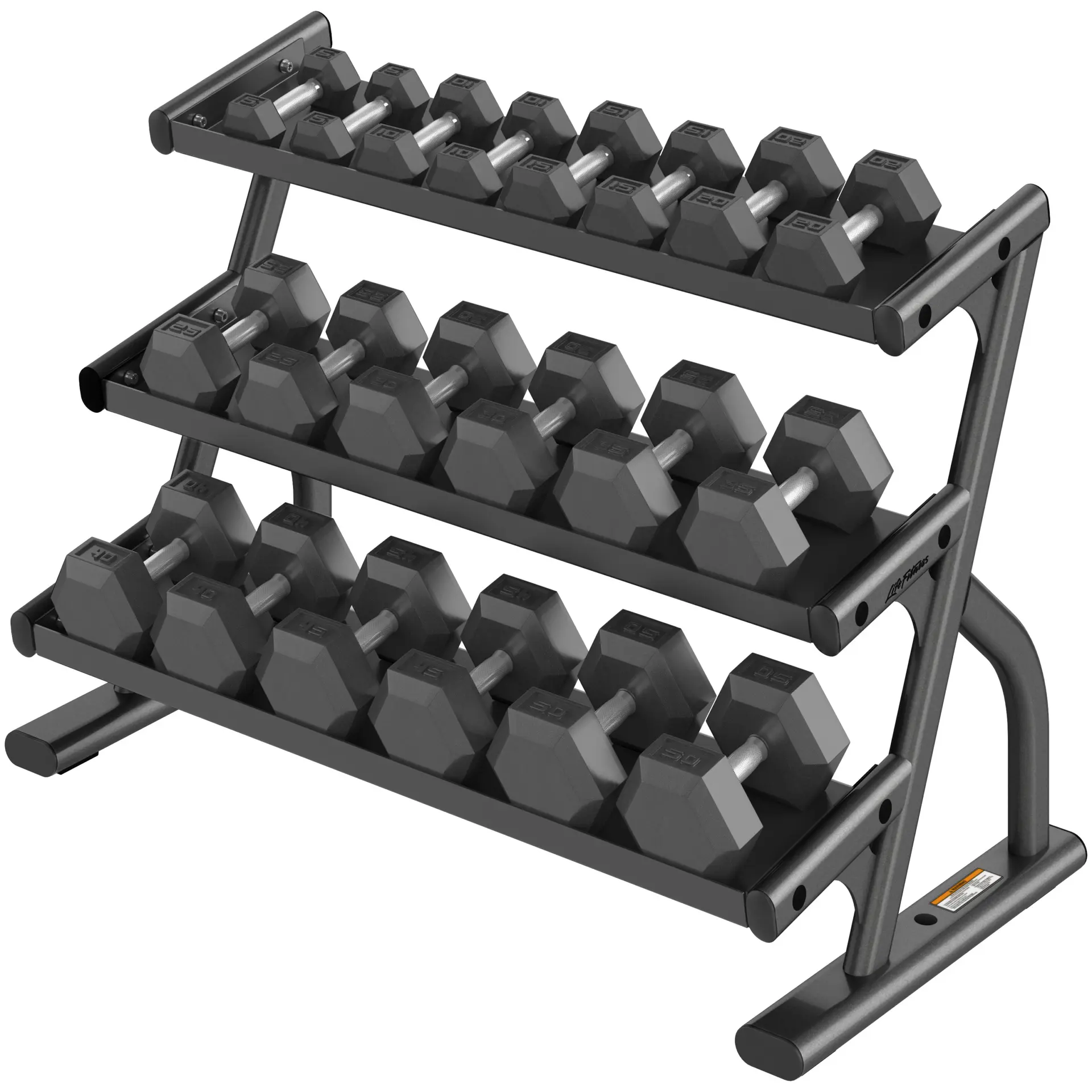 Life Fitness Flat Dumbbell Rack