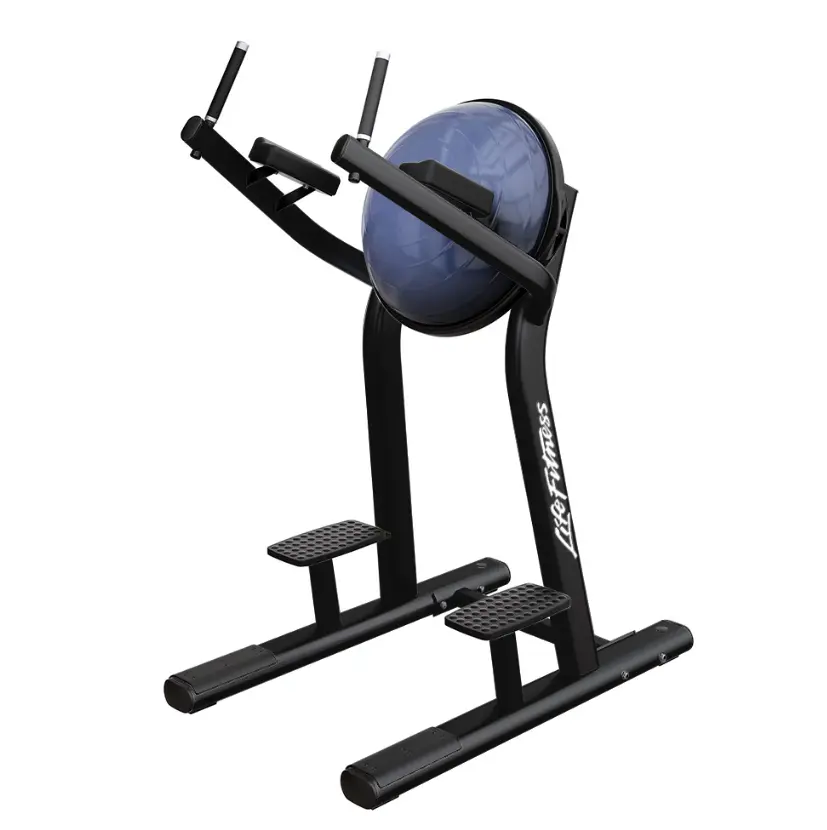 Life Fitness Leg Raise
