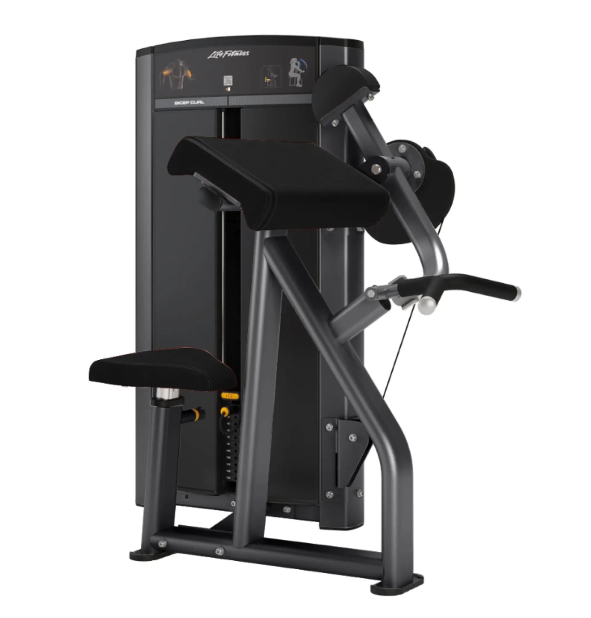 Axiom Series Biceps Curl