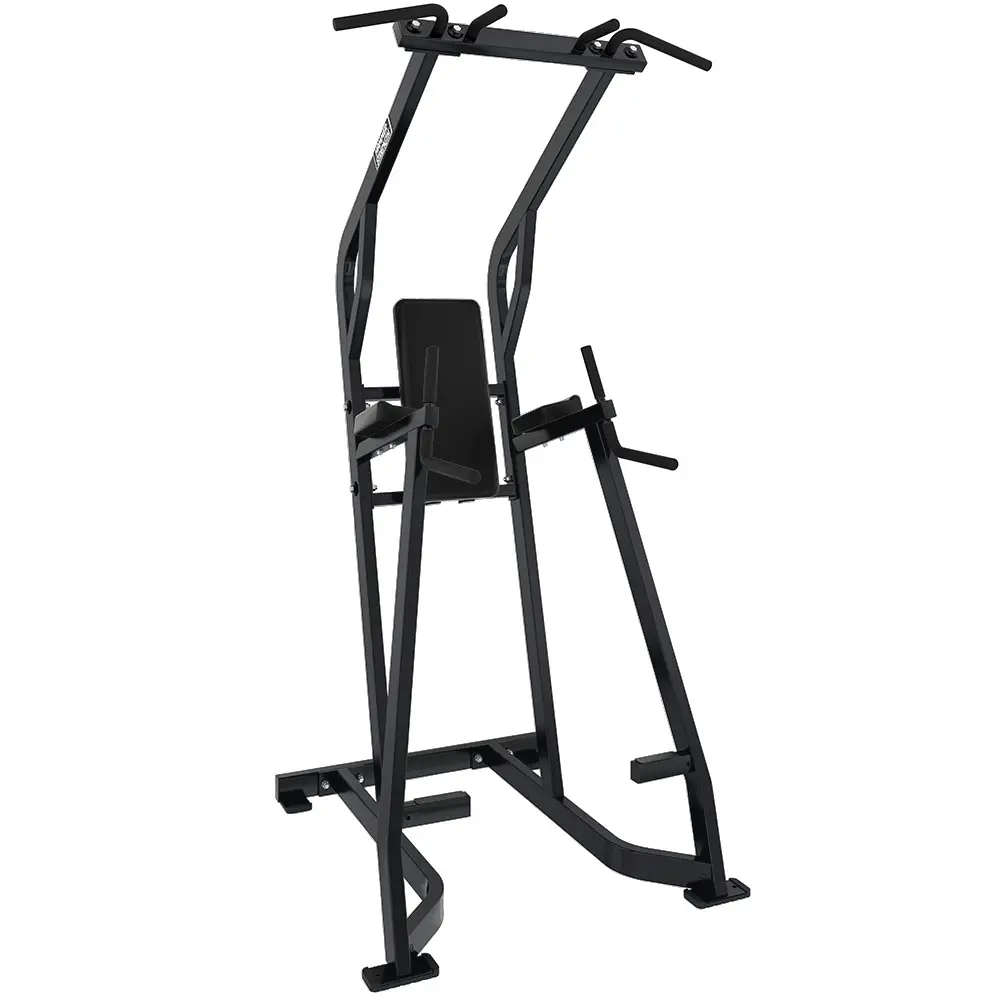 Hammer Strength Chin/Dip/Leg Raise