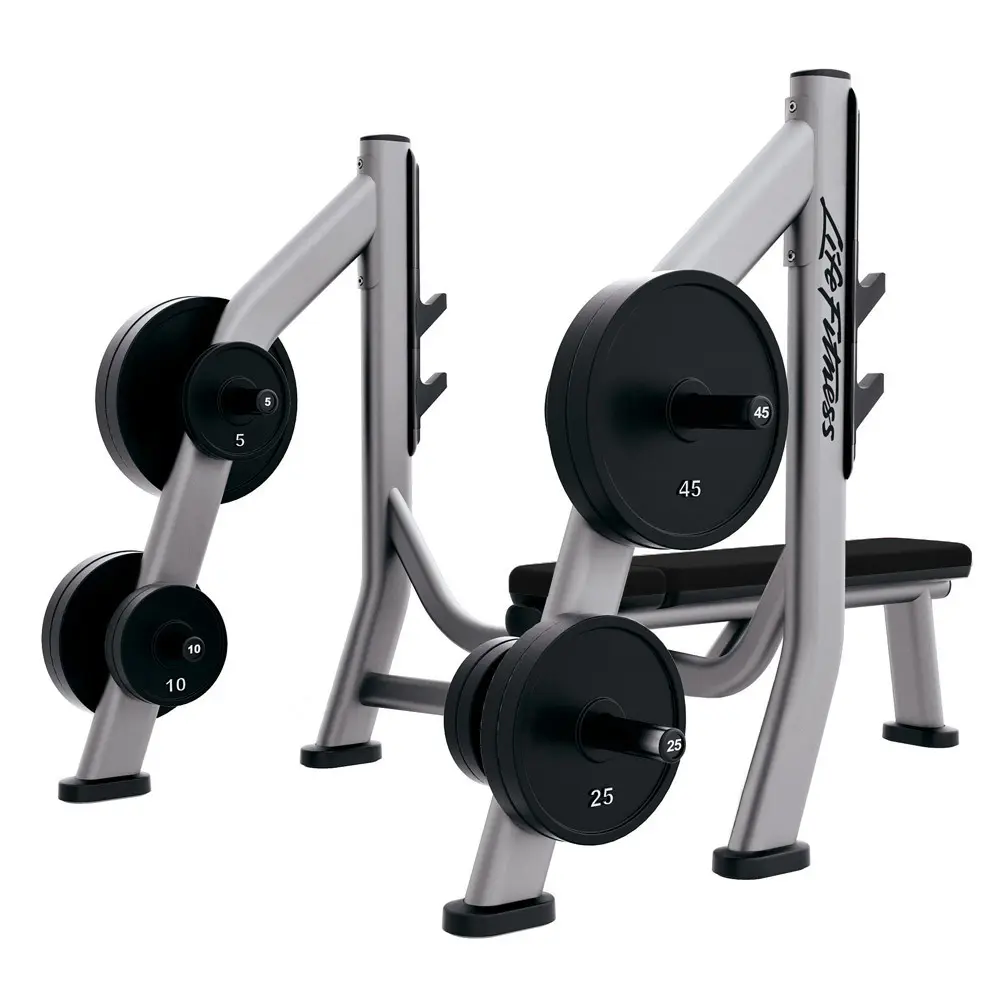 Life Fitness Olympic Bench Weight Storage