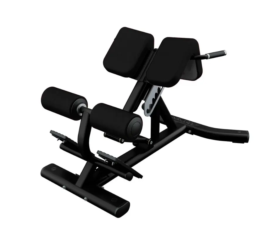 Life Fitness Back Extension