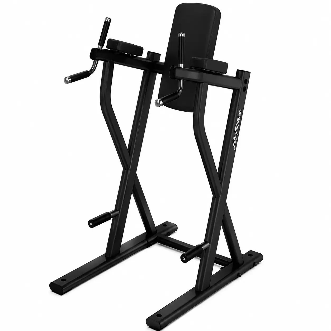 Life Fitness Dip / Leg Raise