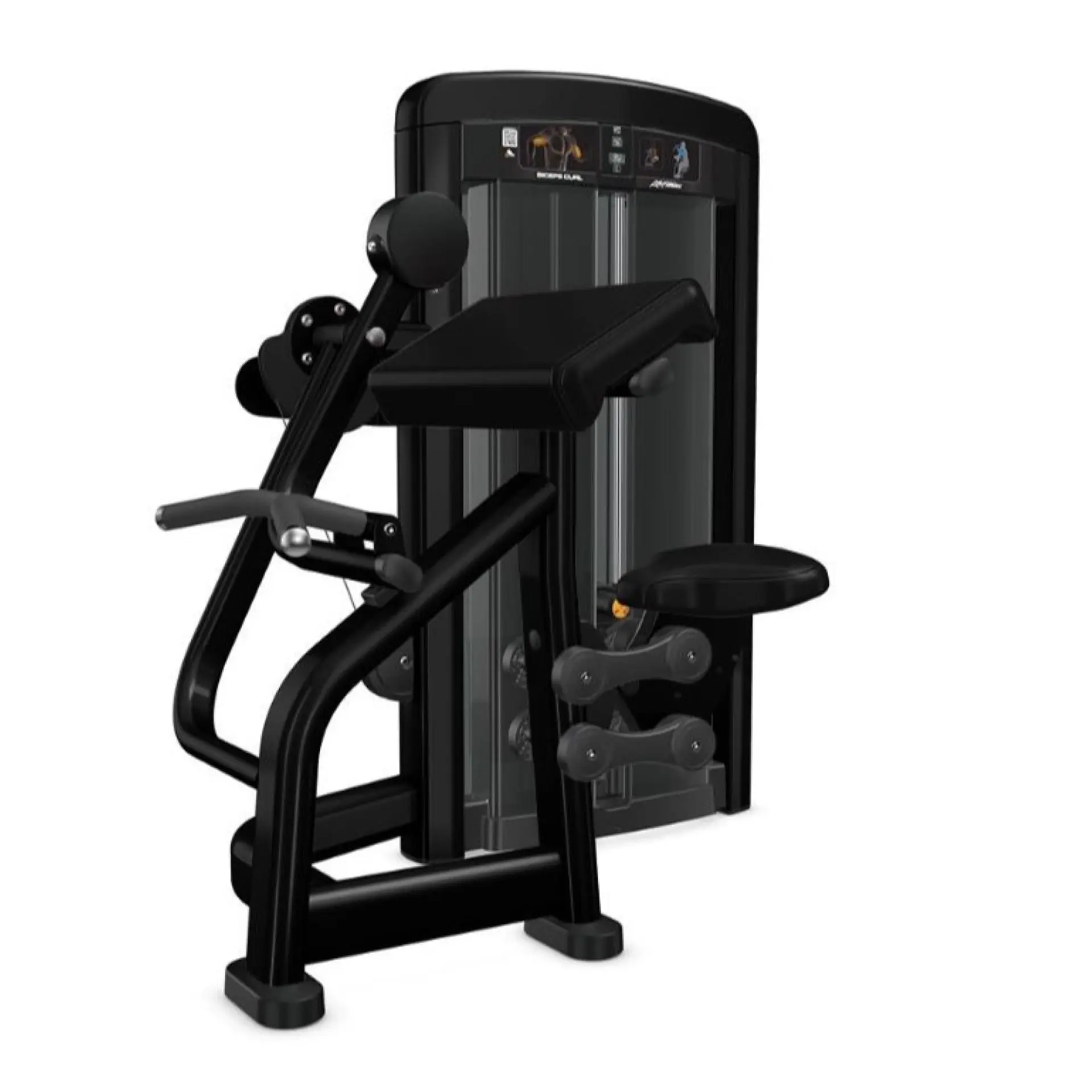 Insignia Series Biceps Curl - Dependent