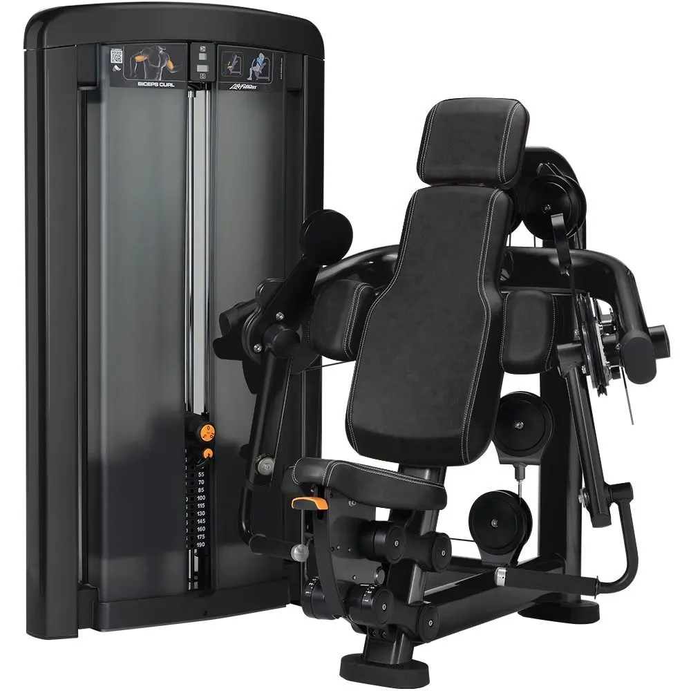 Insignia Series Biceps Curl