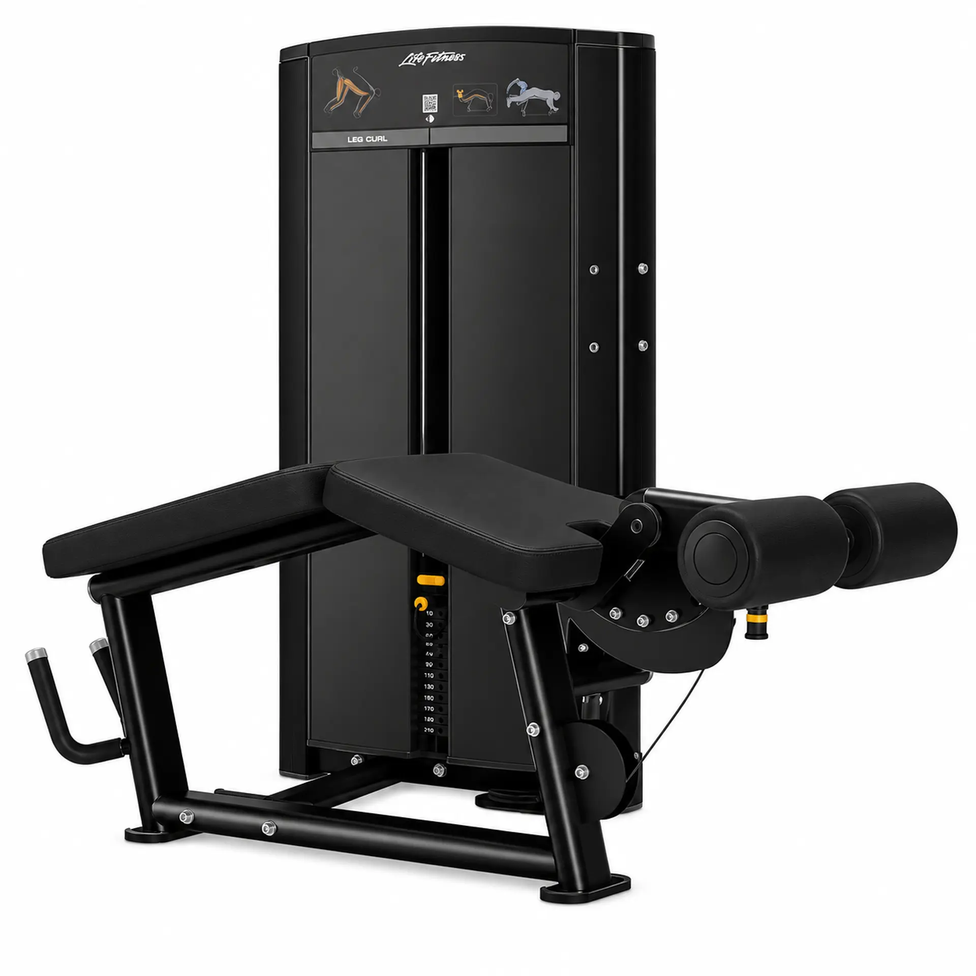 Axiom Series Leg Curl